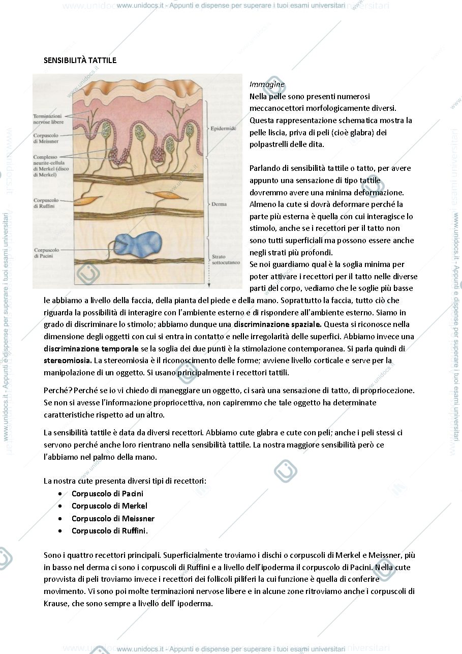 Anteprima pagina 2 — Fisiologia 9