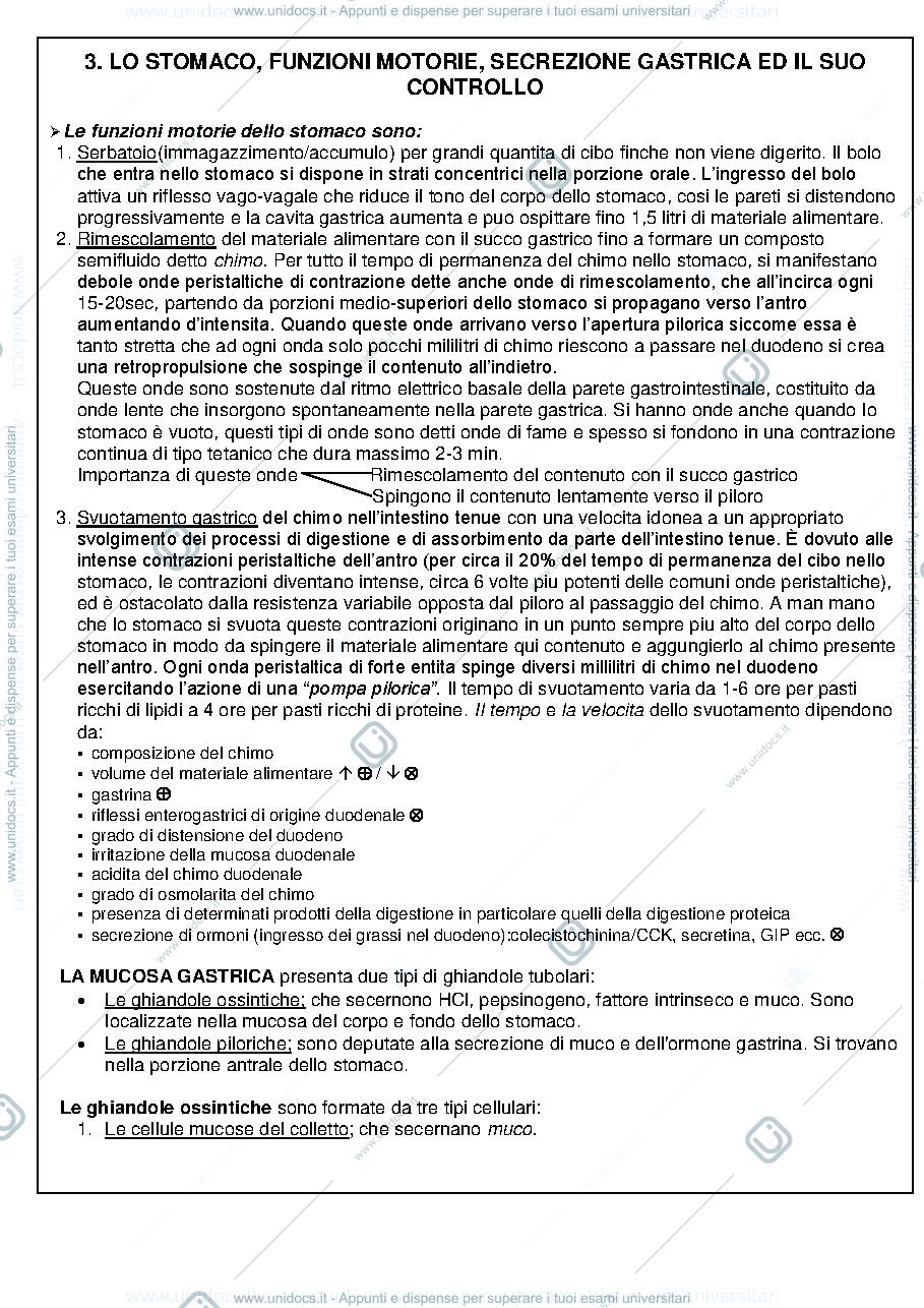 Anteprima pagina 3 — Fisiologia