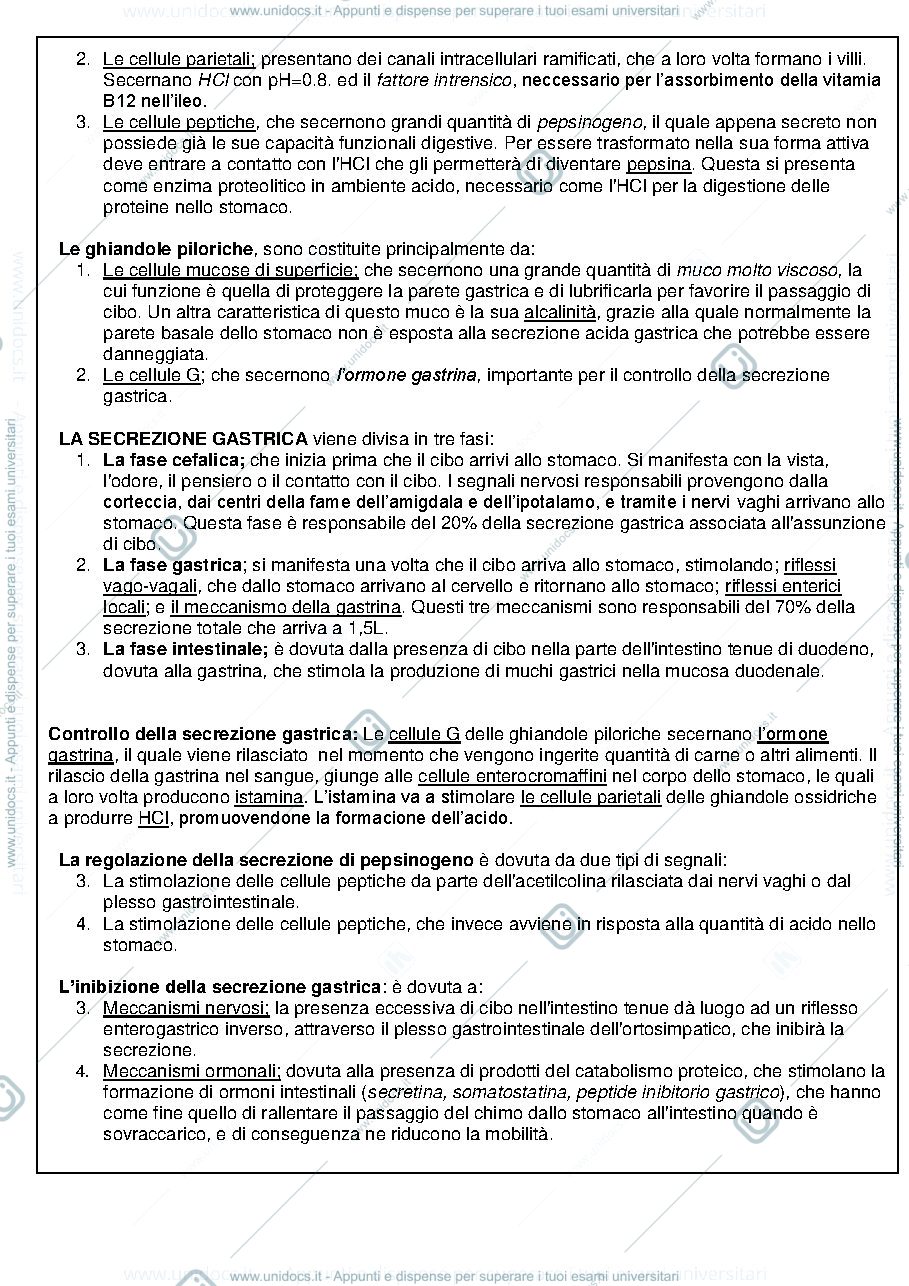 Anteprima pagina 4 — Fisiologia