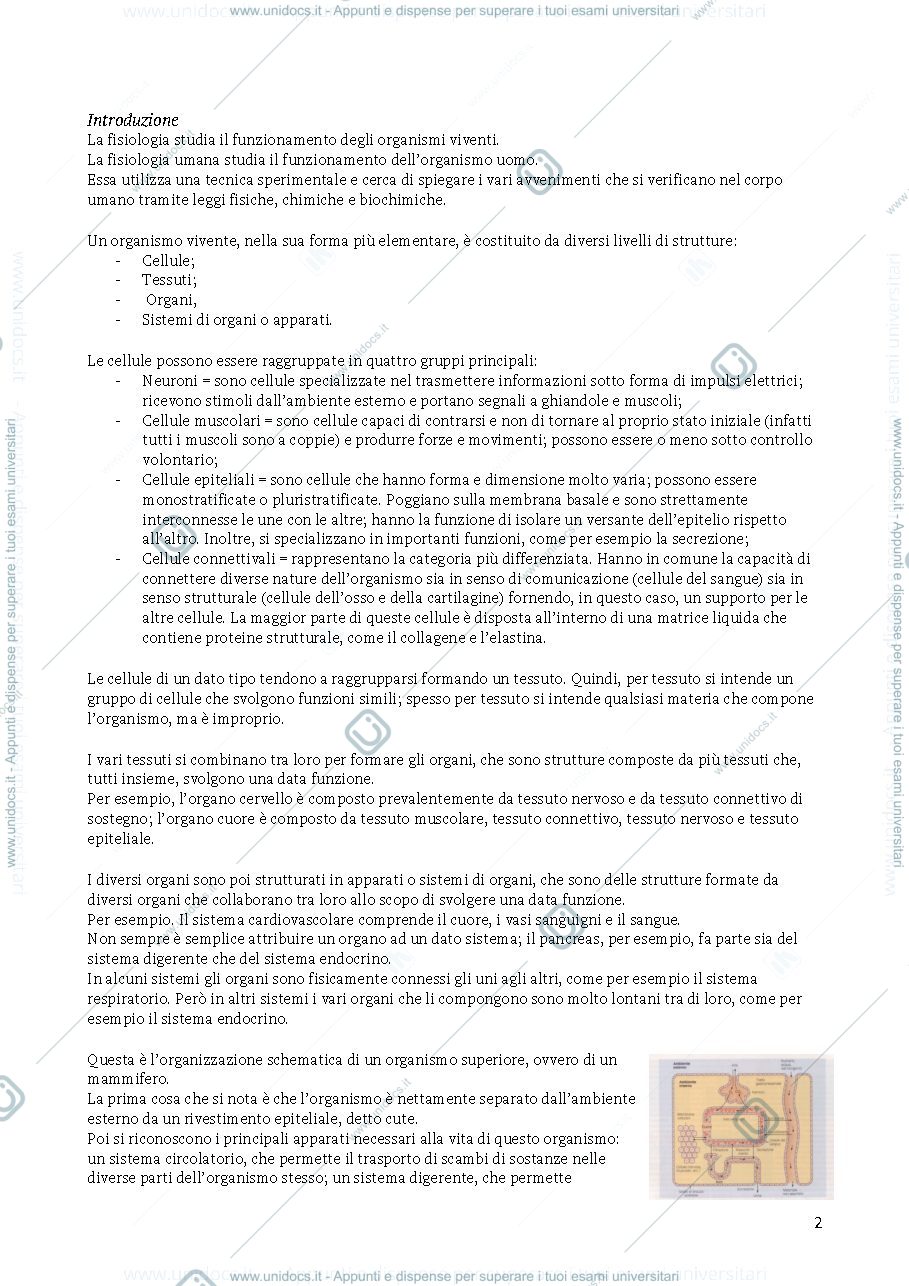 Anteprima pagina 1 — fisiologia umana - prof. Robatto