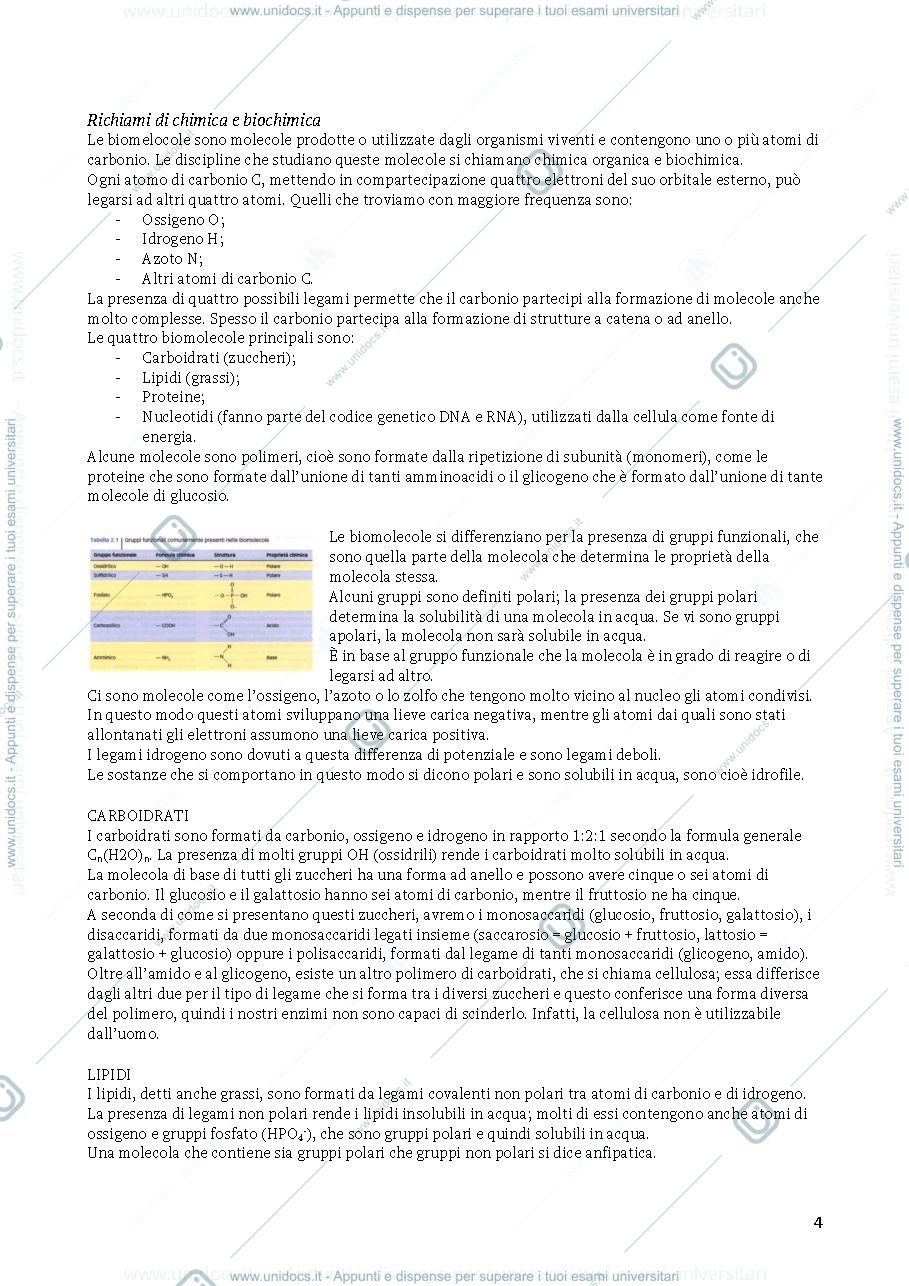 Anteprima pagina 3 — fisiologia umana - prof. Robatto