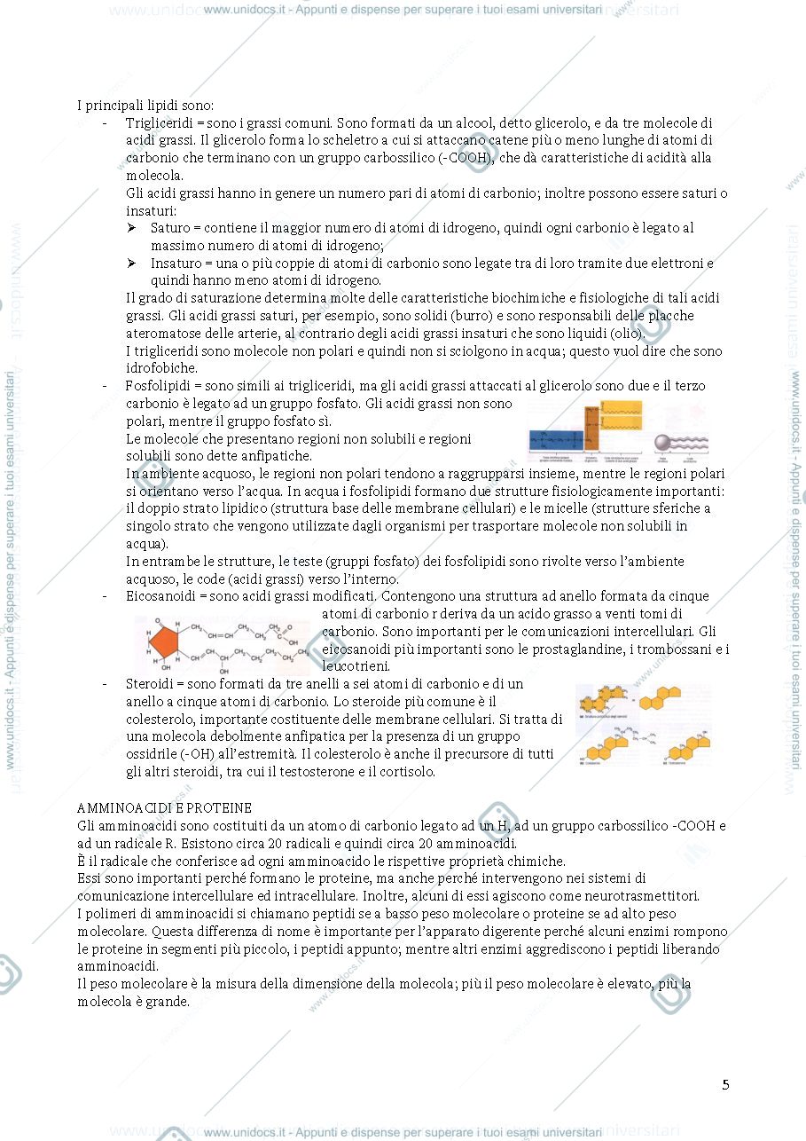 Anteprima pagina 4 — fisiologia umana - prof. Robatto