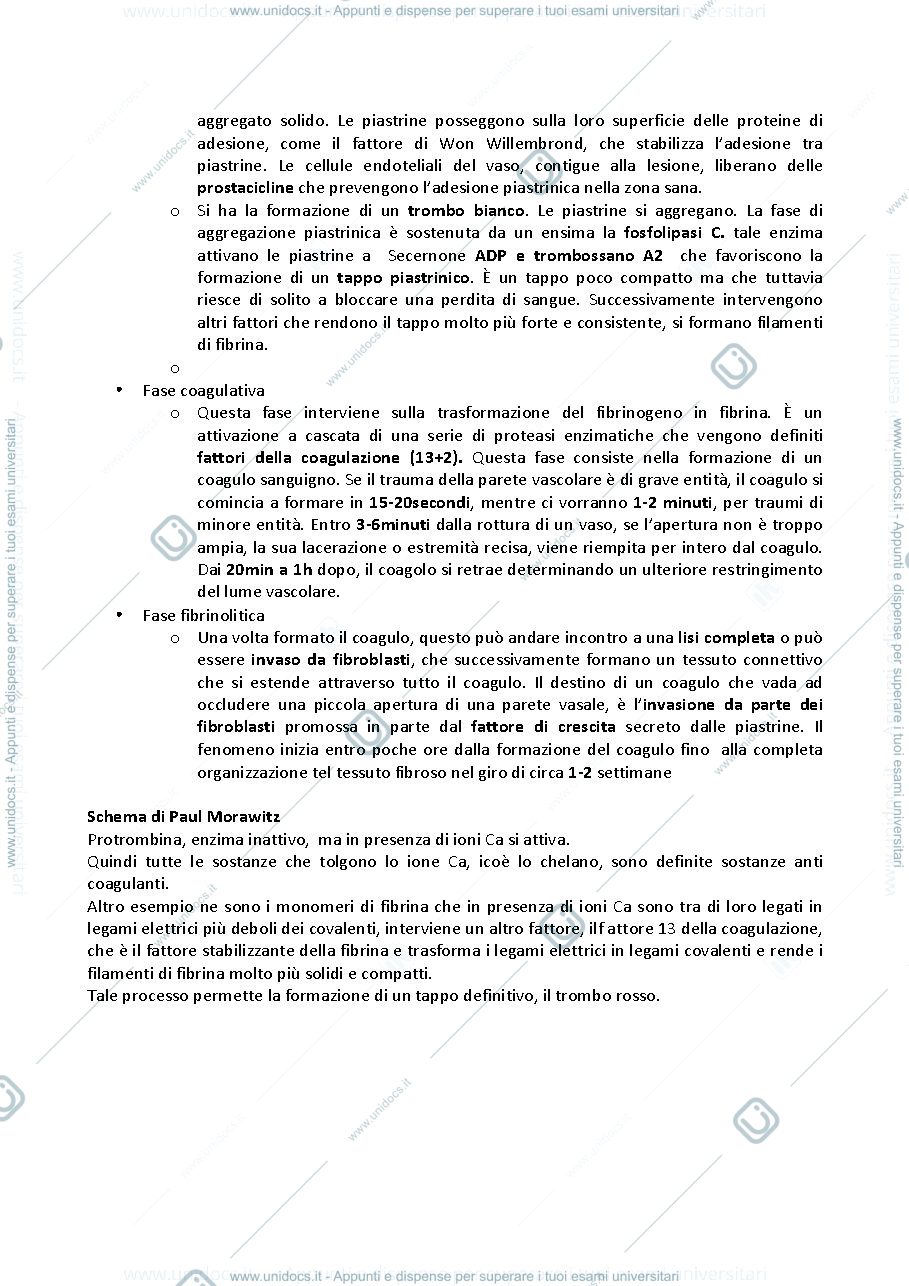 Anteprima pagina 2 — Fisiologia