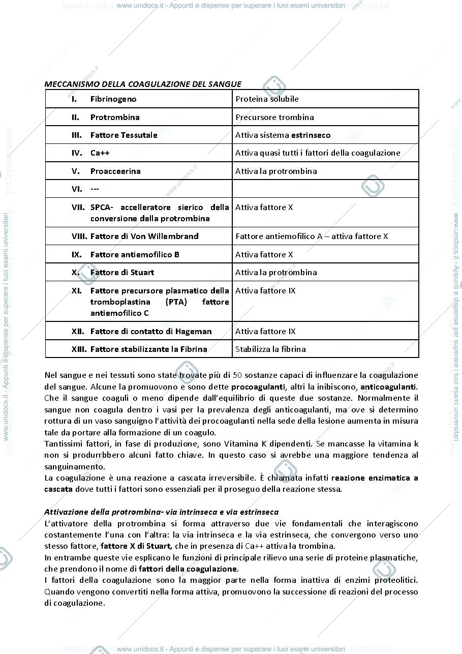 Anteprima pagina 3 — Fisiologia