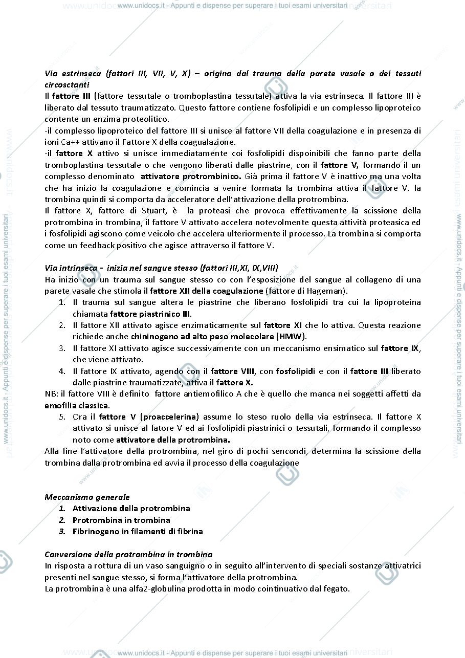 Anteprima pagina 4 — Fisiologia