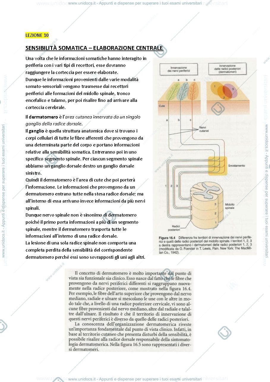Anteprima pagina 1 — Fisiologia 10