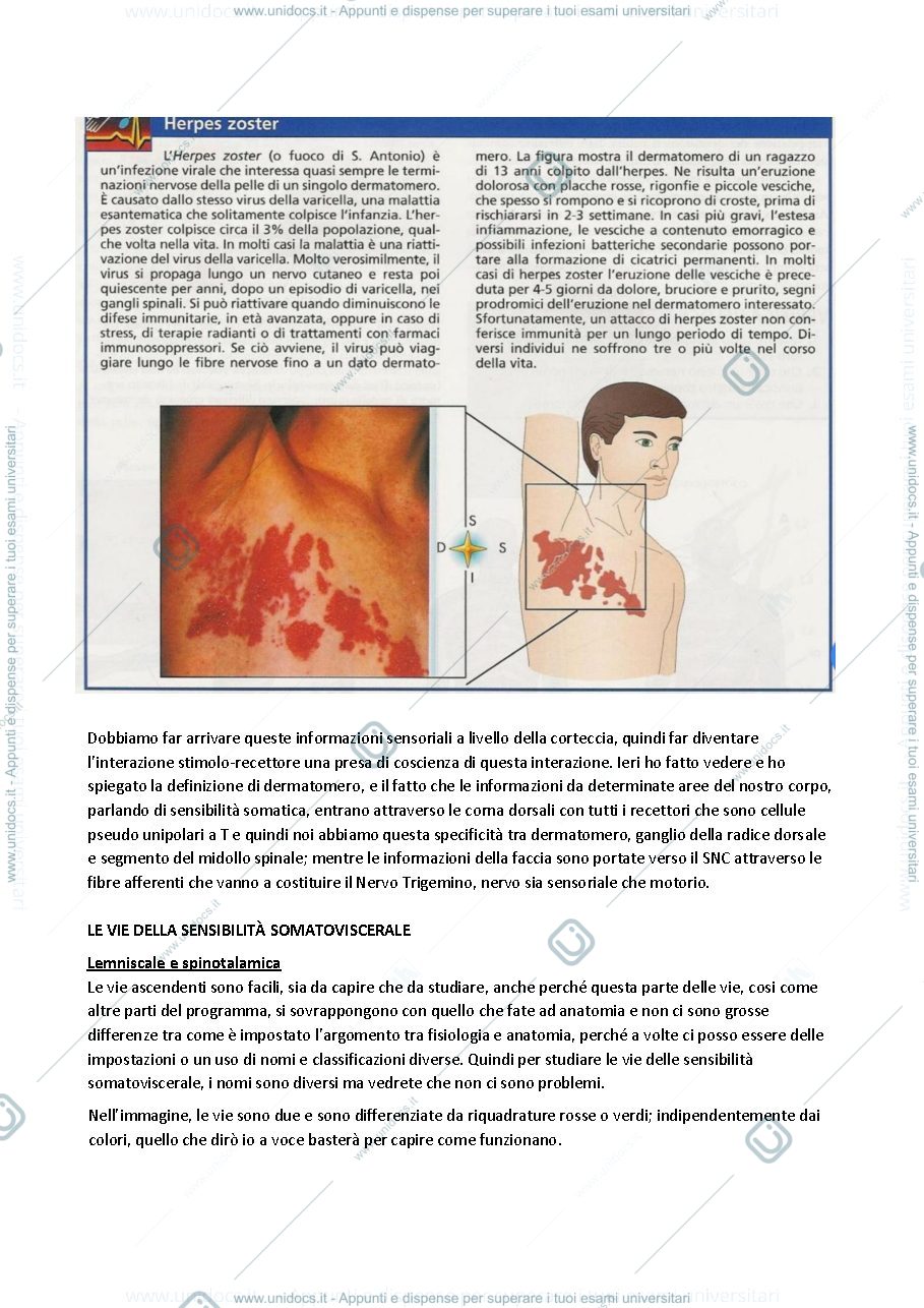 Anteprima pagina 3 — Fisiologia 10