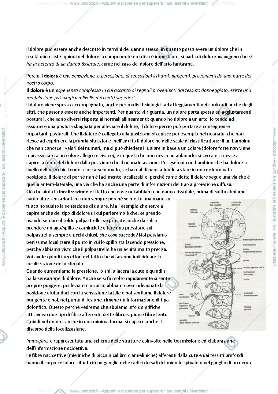 Anteprima pagina 2 — Fisiologia 11