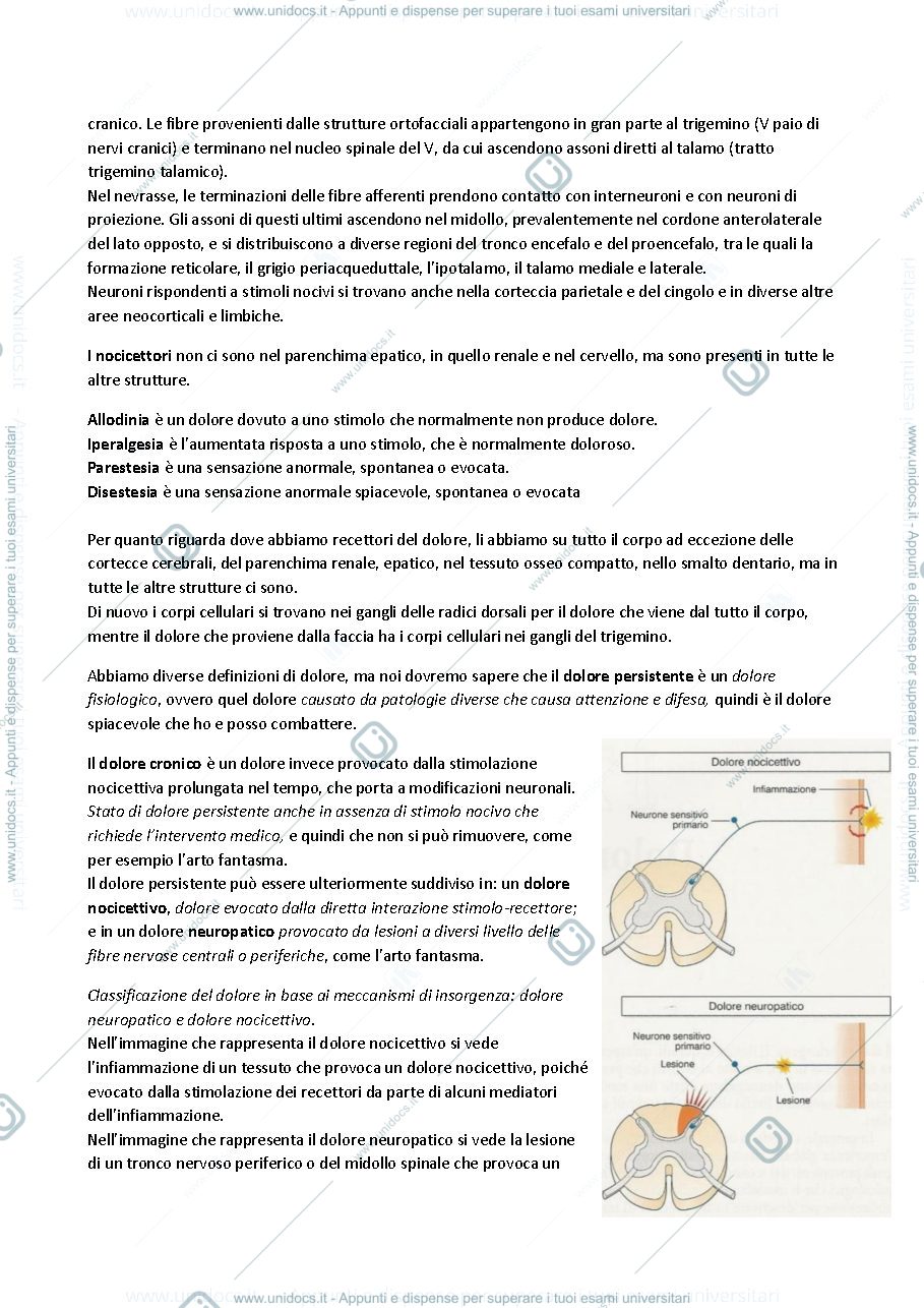 Anteprima pagina 3 — Fisiologia 11