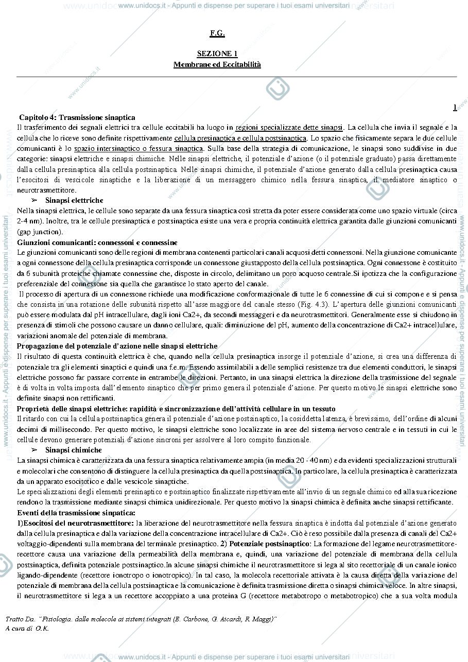 Anteprima pagina 1 — Trasmissione sinaptica (Cap4)