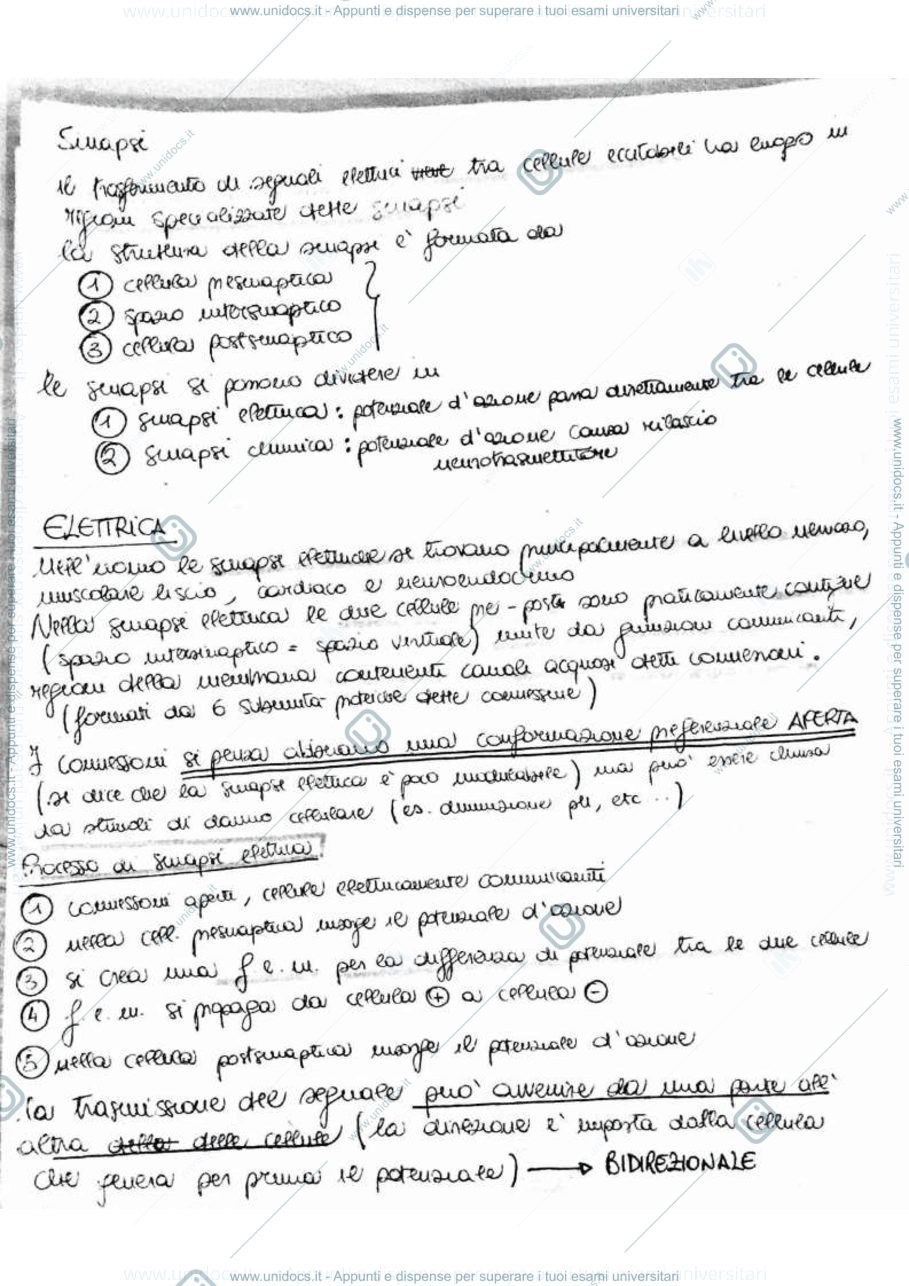 Anteprima pagina 1 — Fisiologia-sistemi sensoriali