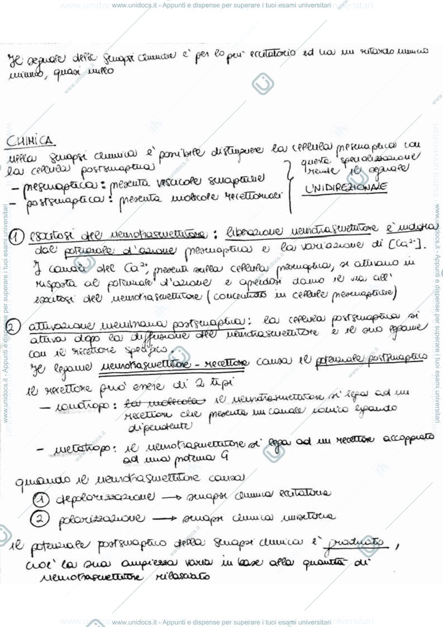 Anteprima pagina 2 — Fisiologia-sistemi sensoriali