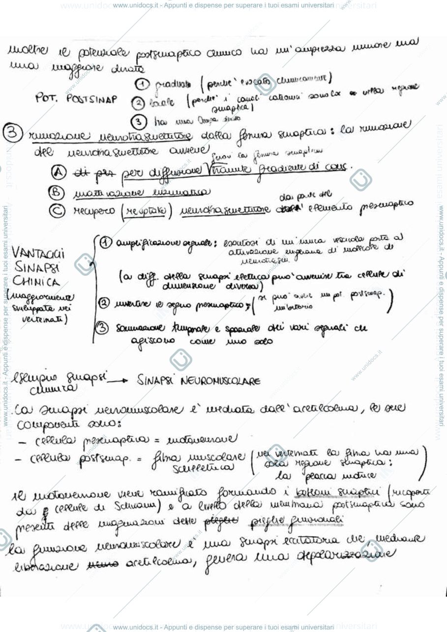 Anteprima pagina 3 — Fisiologia-sistemi sensoriali