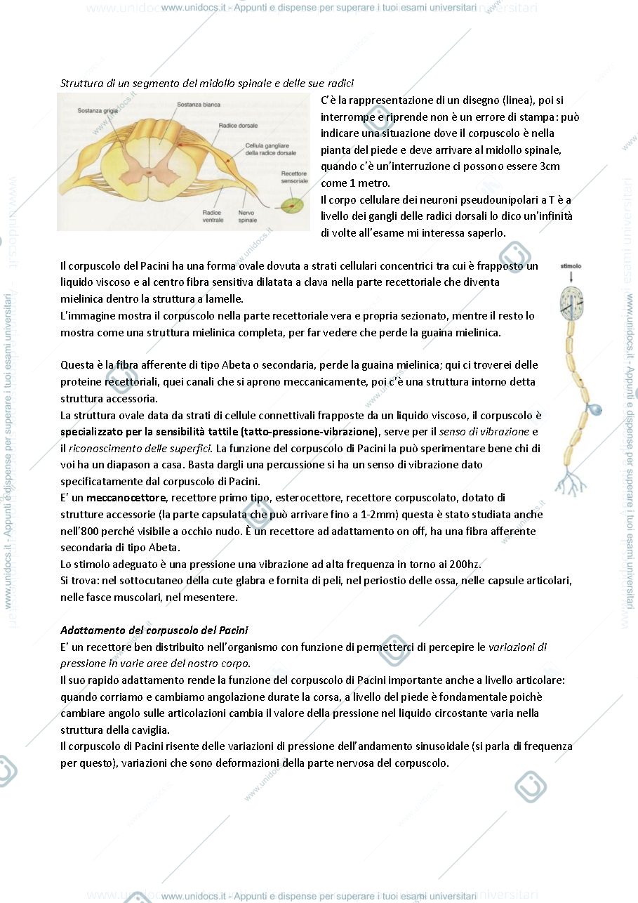Anteprima pagina 2 — Fisiologia 7