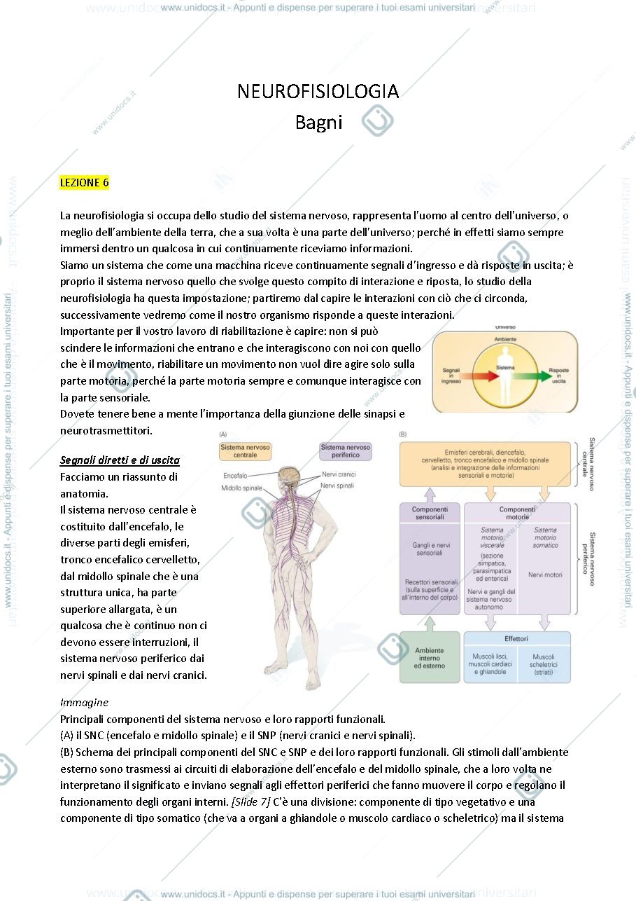 Anteprima pagina 1 — Fisiologia 6
