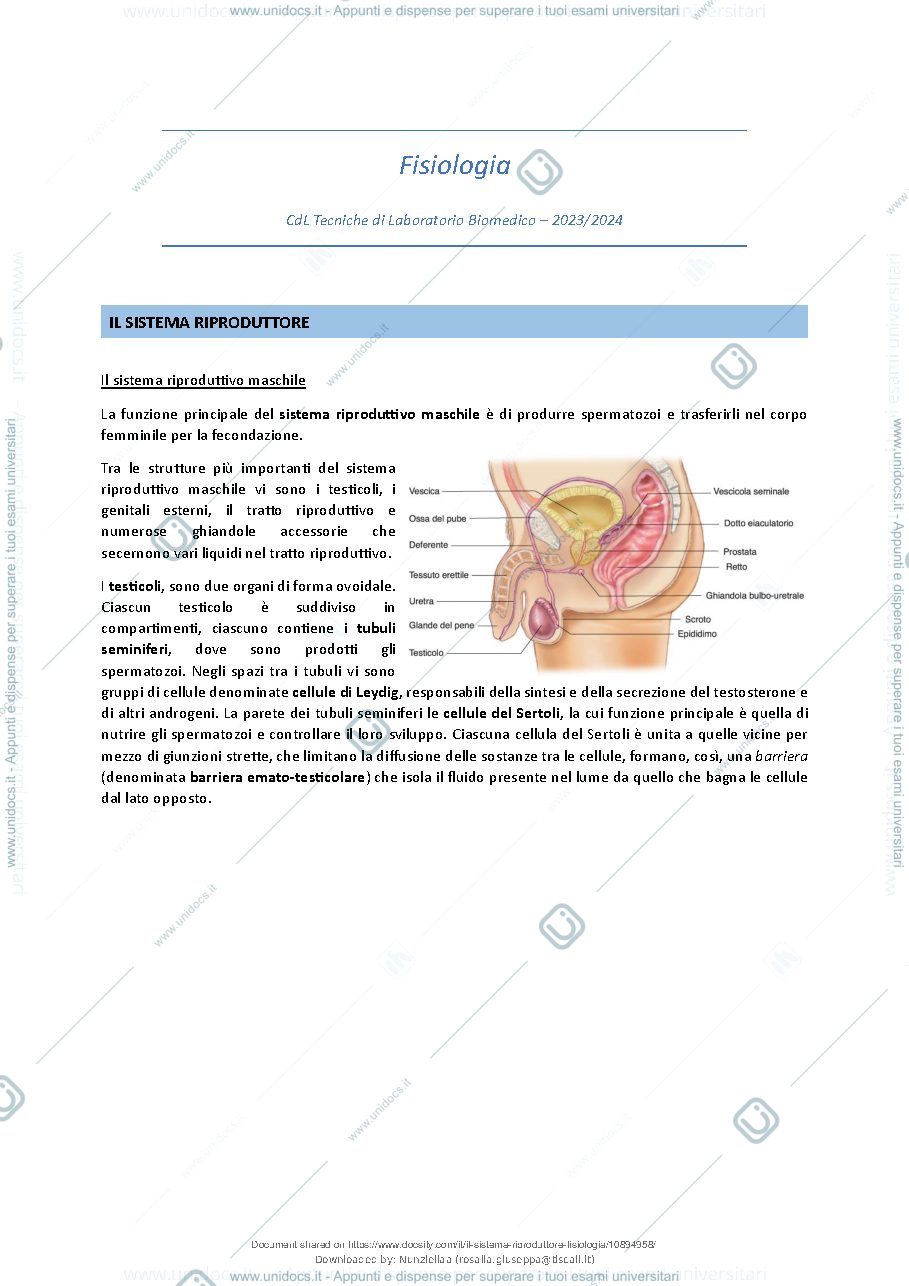 Anteprima pagina 2 — Il Sistema Riproduttore - Fisiologia