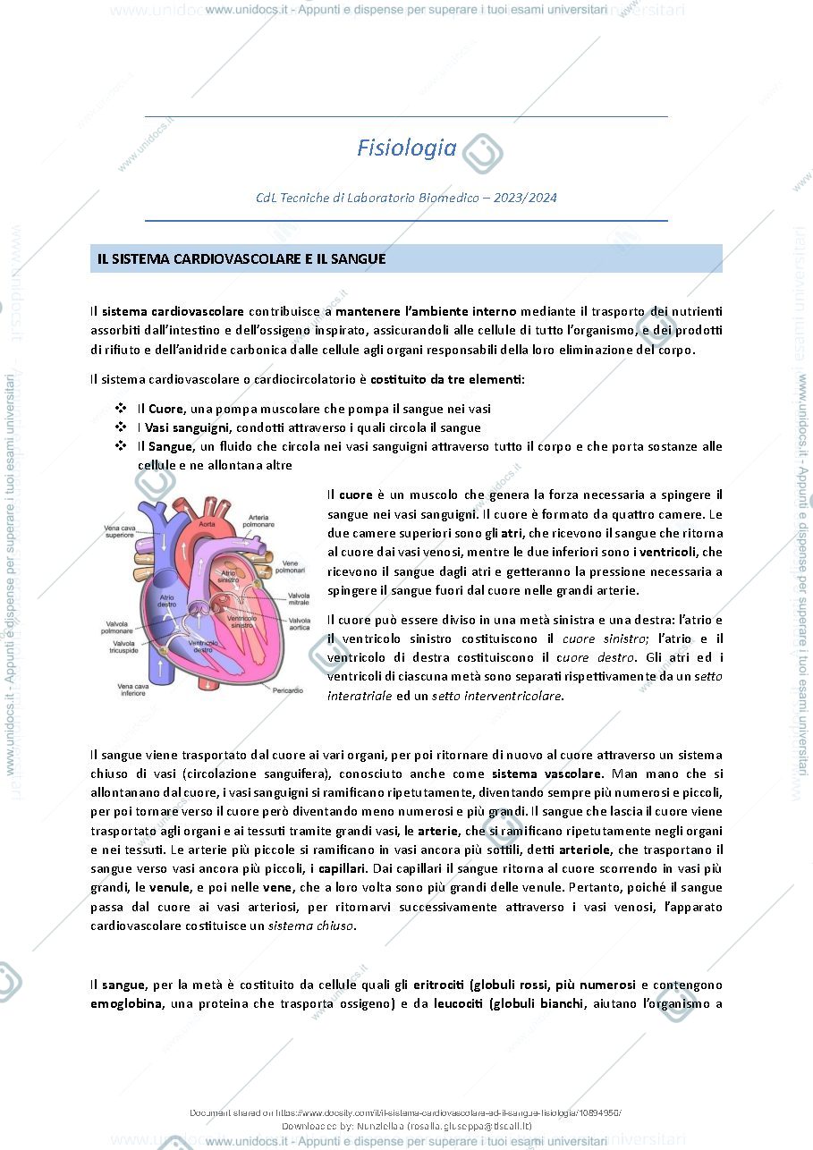 Anteprima pagina 2 — Il Sistema Cardiovascolare ed il Sangue - Fisiologia