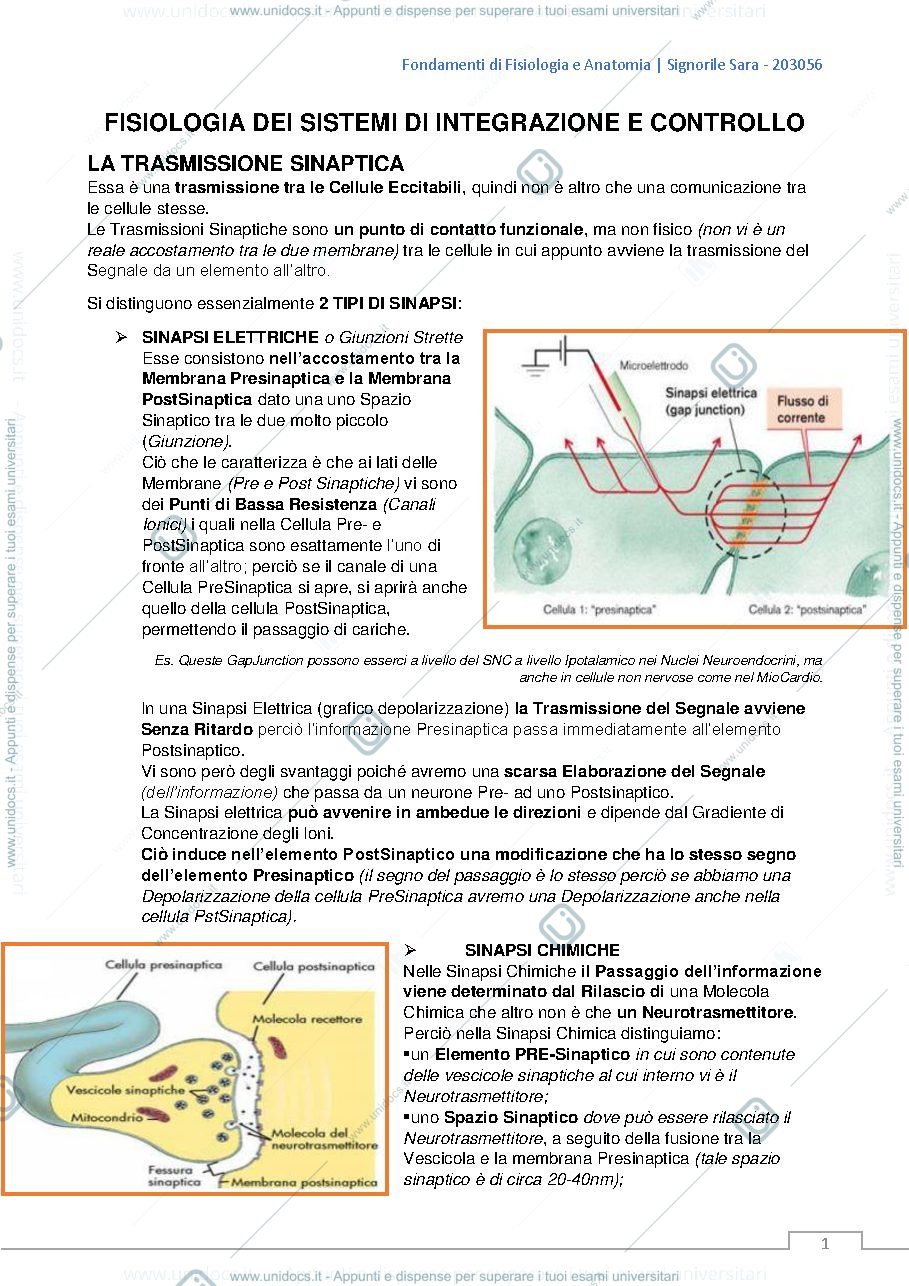 Anteprima pagina 1 — fisiologia  dei sistemi di integrazione e di controllo