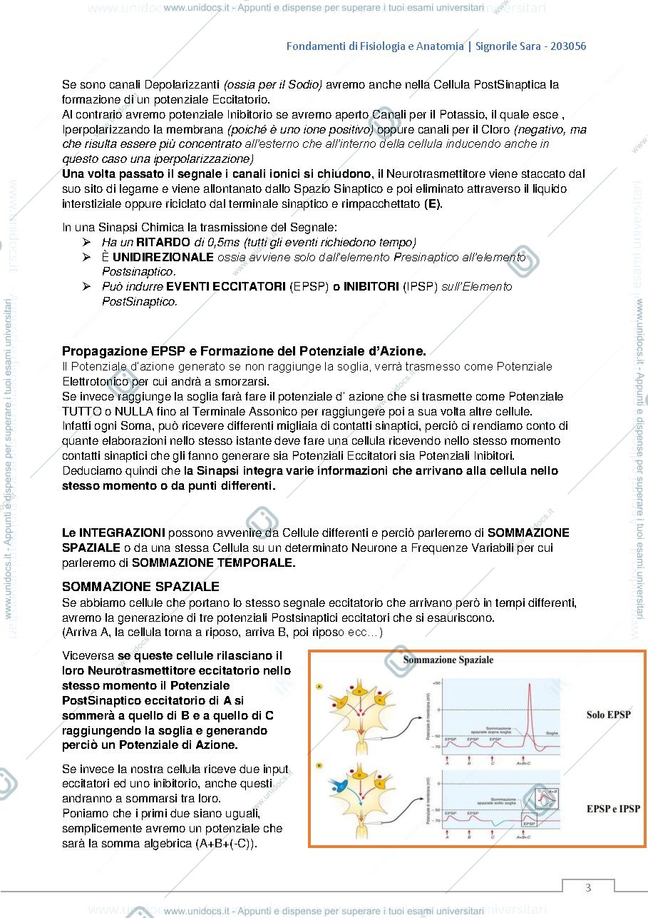Anteprima pagina 3 — fisiologia  dei sistemi di integrazione e di controllo
