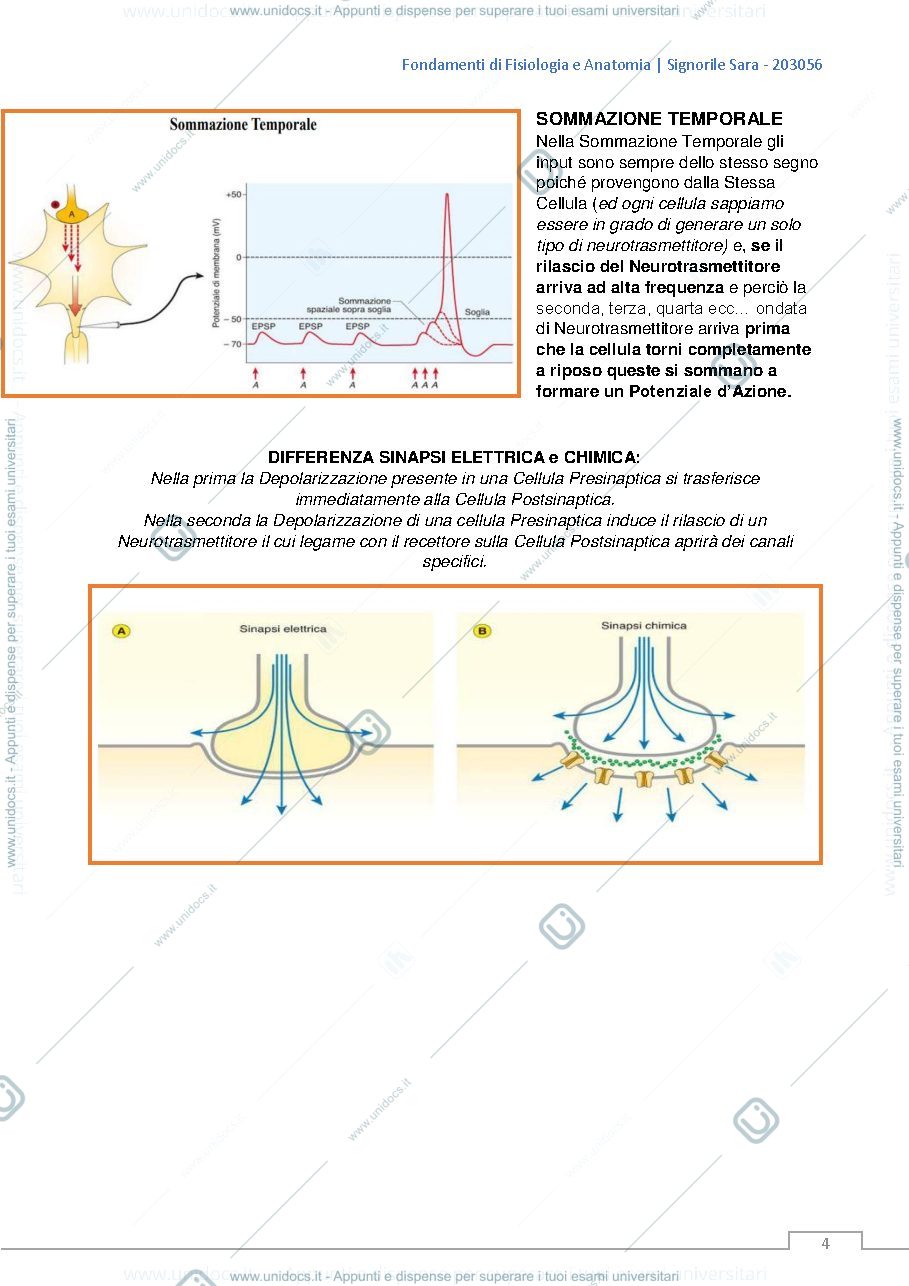Anteprima pagina 4 — fisiologia  dei sistemi di integrazione e di controllo