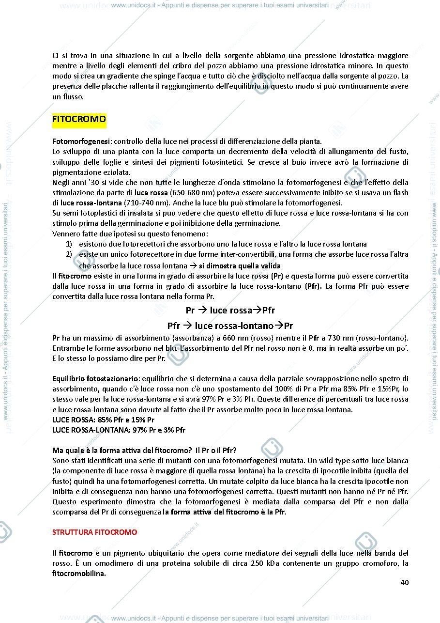 Anteprima pagina 1 — fitocromo