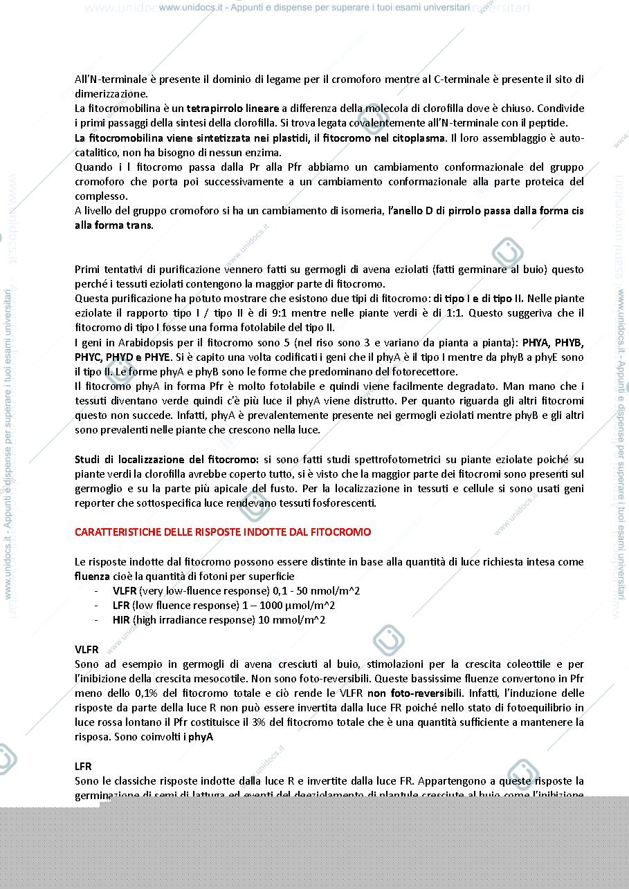 Anteprima pagina 2 — fitocromo