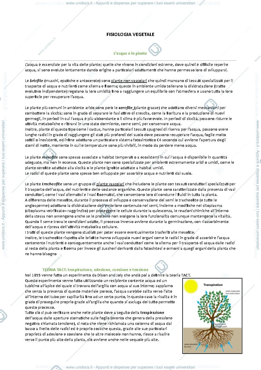 Anteprima pagina 1 — Fisiologia vegetale