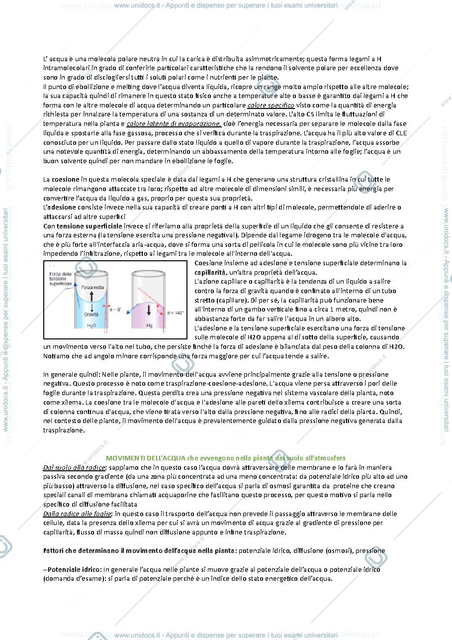 Anteprima pagina 2 — Fisiologia vegetale