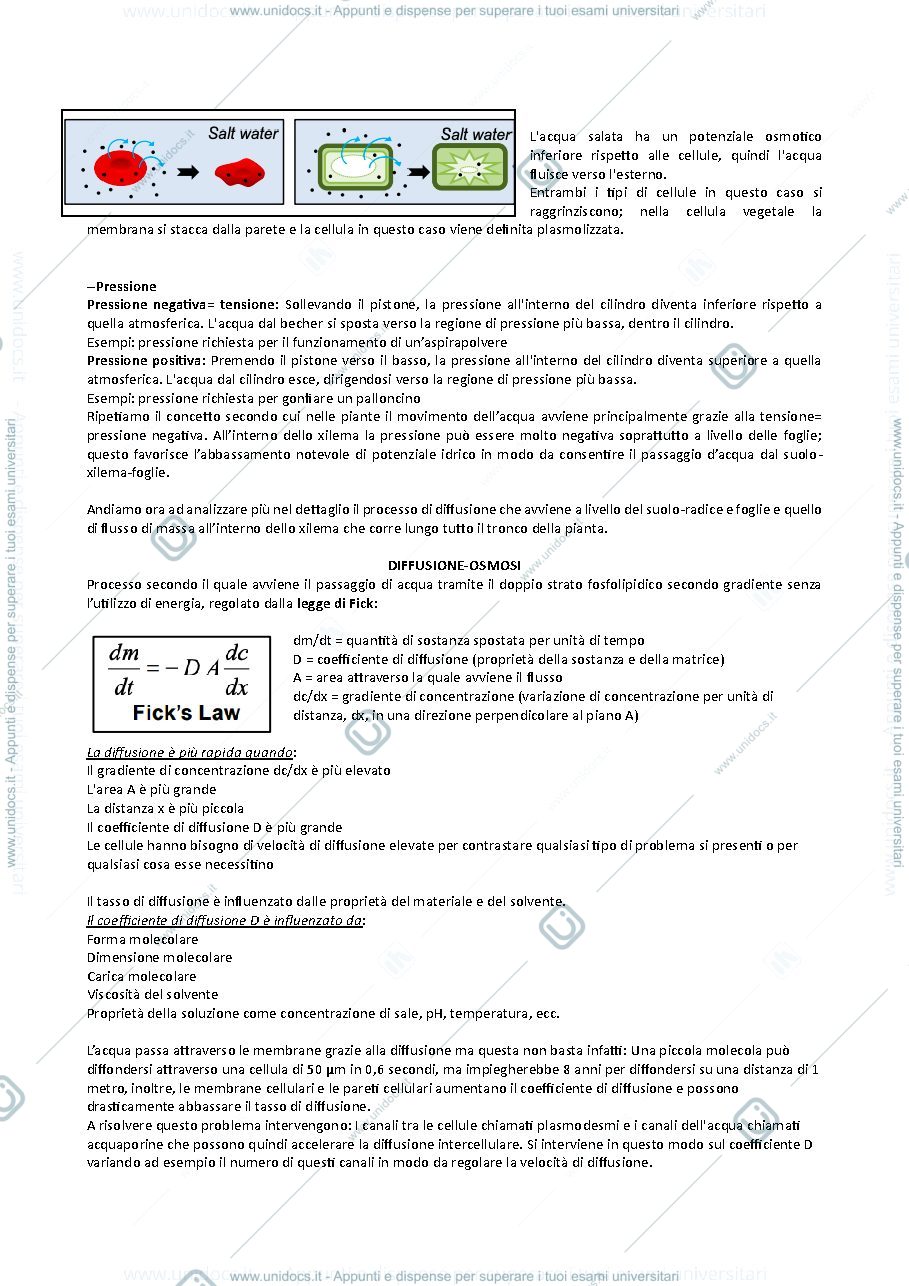 Anteprima pagina 4 — Fisiologia vegetale