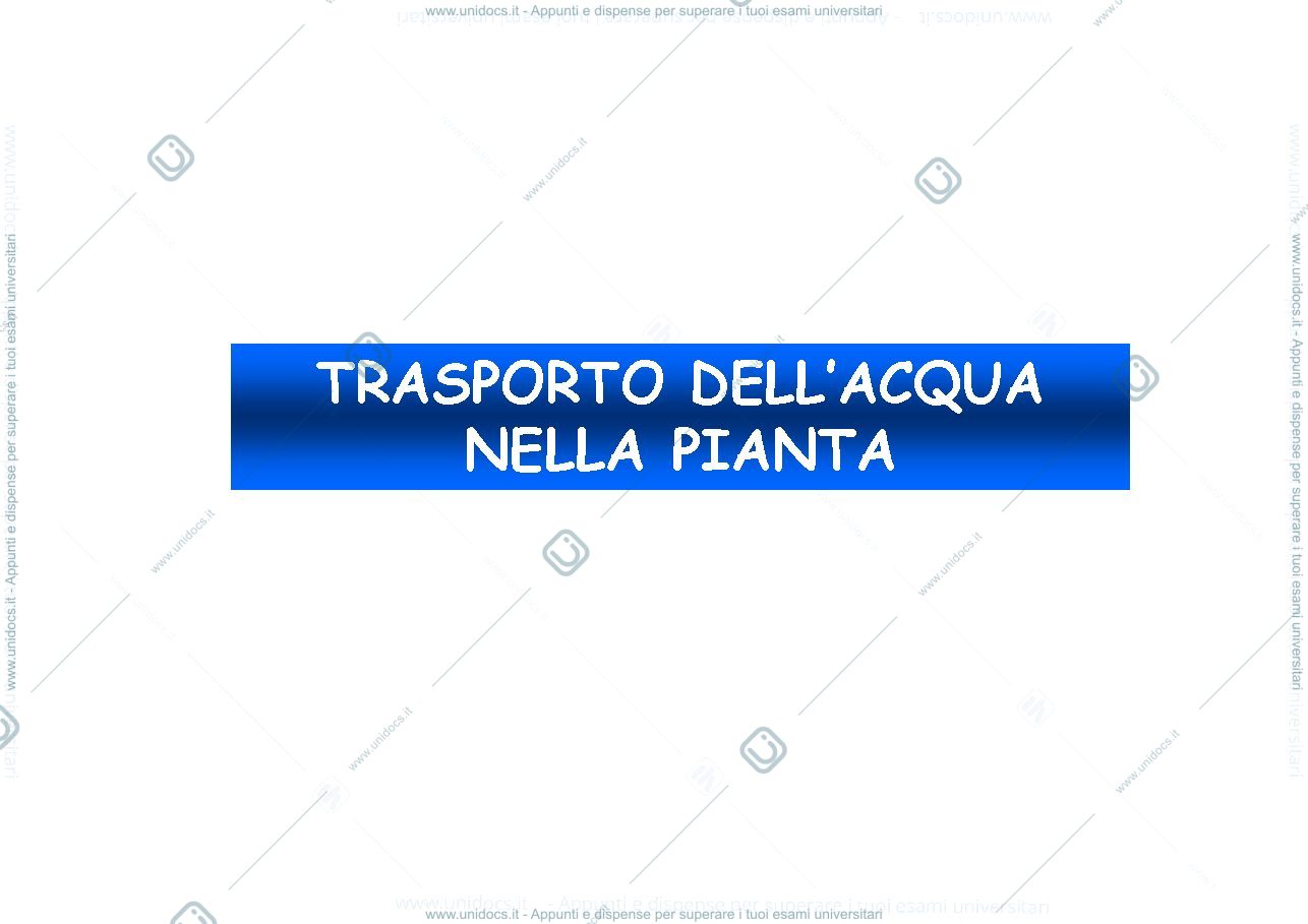 Anteprima pagina 1 — Appunti di fisiologia vegetale