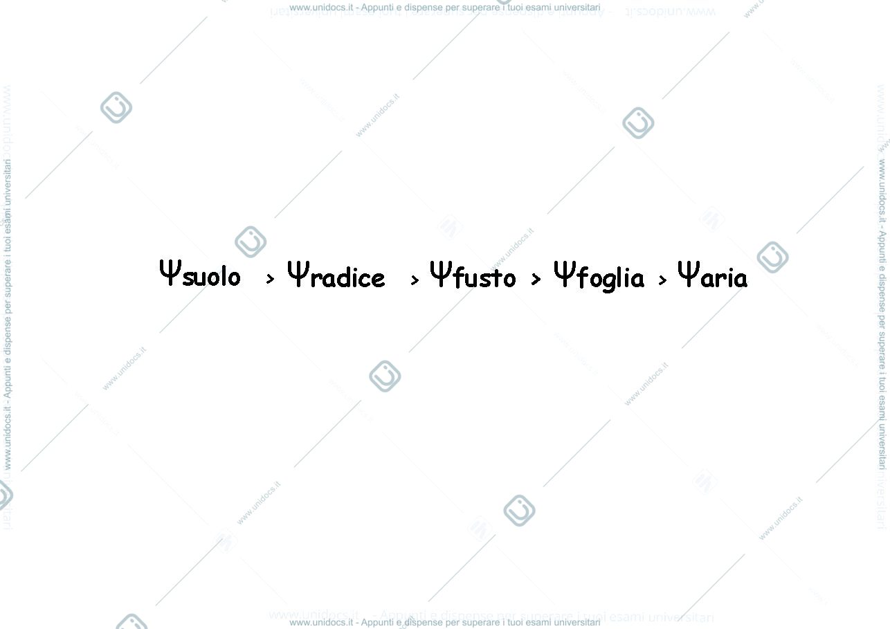 Anteprima pagina 3 — Appunti di fisiologia vegetale