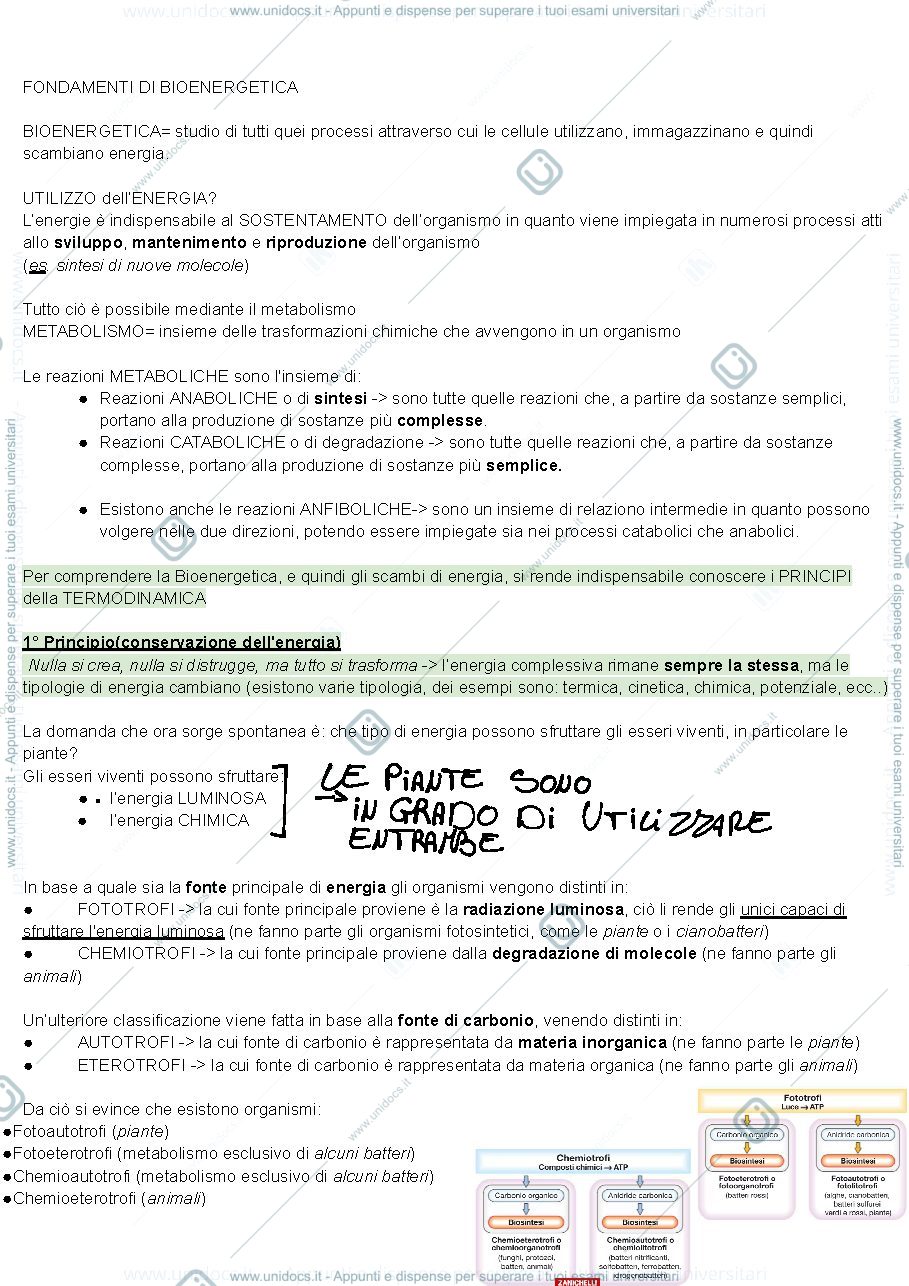 Anteprima pagina 1 — FISIOLOGIA VEGETALE (a.a. 2024-25)