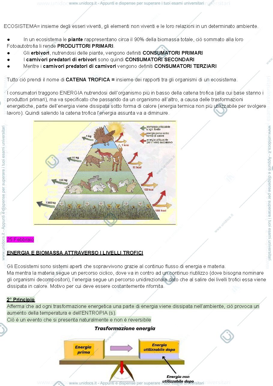 Anteprima pagina 2 — FISIOLOGIA VEGETALE (a.a. 2024-25)