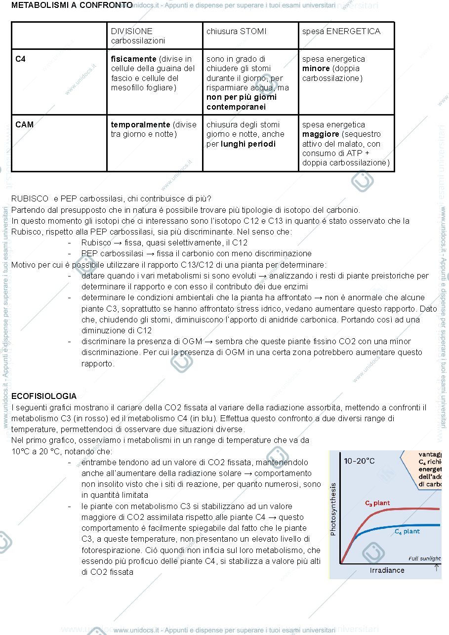 Anteprima pagina 5 — FISIOLOGIA VEGETALE (a.a. 2024-25)