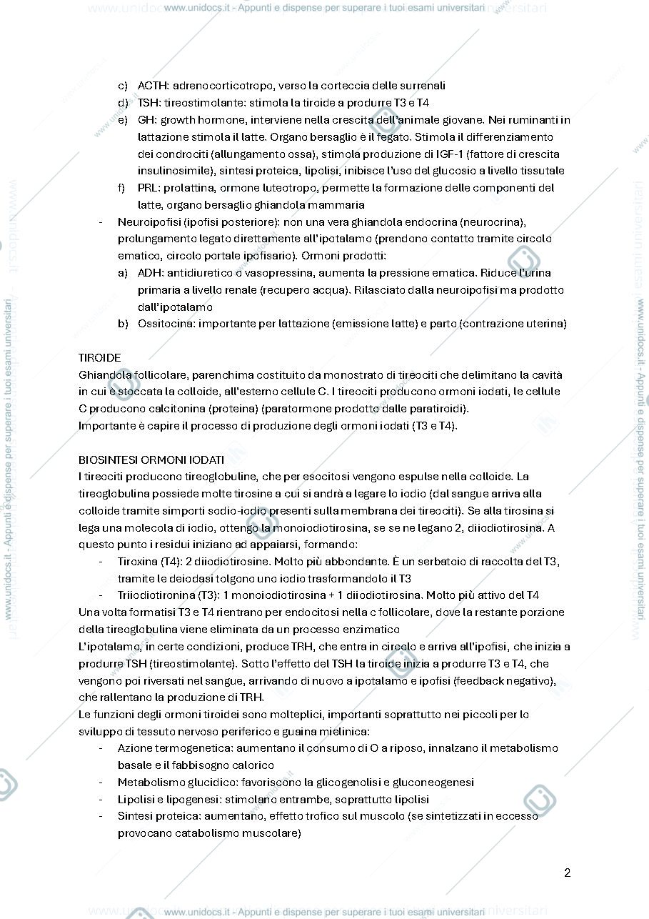 Anteprima pagina 2 — RIASSUNTONE completo fisiologia 