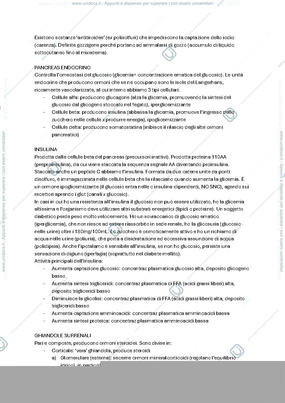 Anteprima pagina 3 — RIASSUNTONE completo fisiologia 