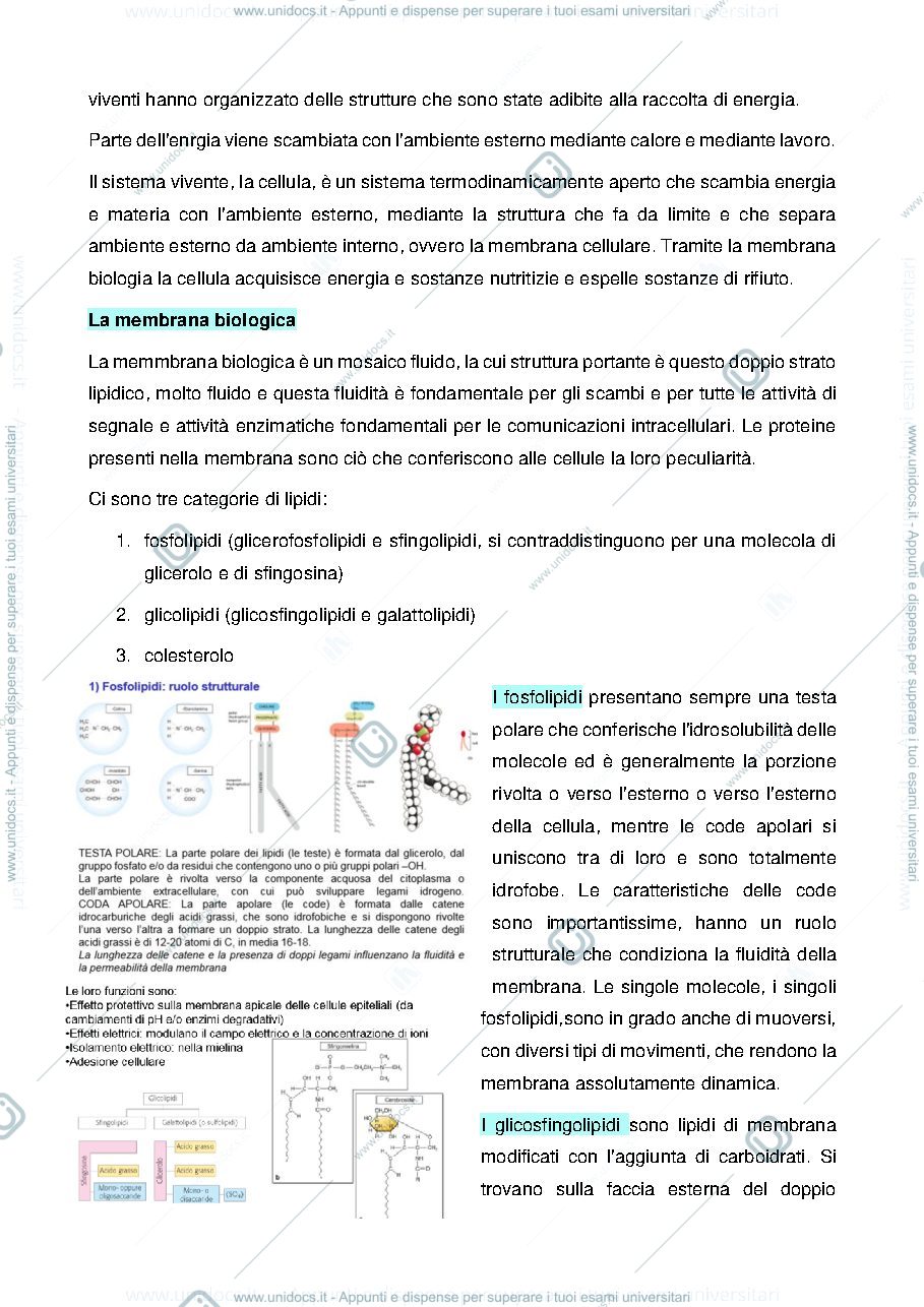 Anteprima pagina 3 — fisiologia cellulare