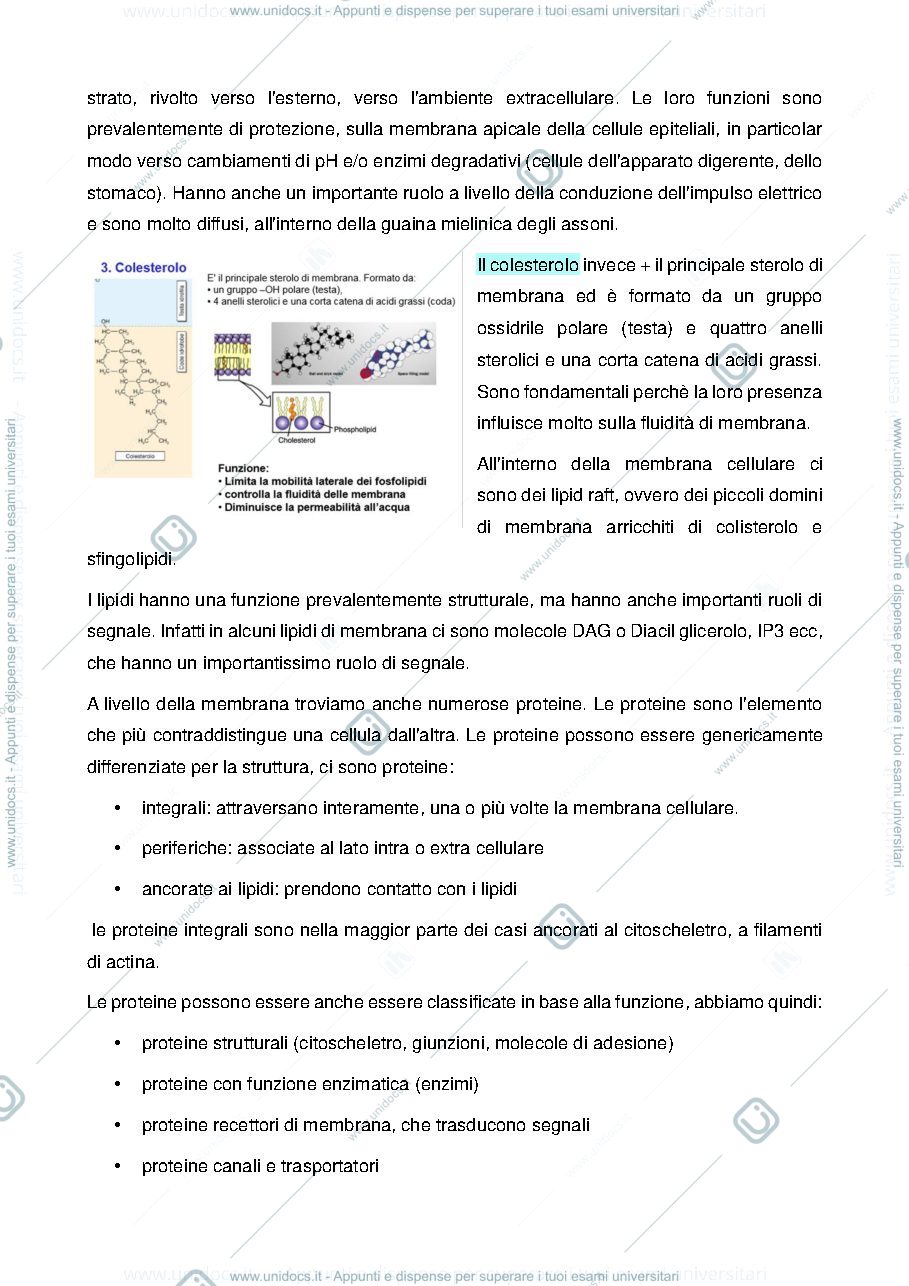 Anteprima pagina 4 — fisiologia cellulare