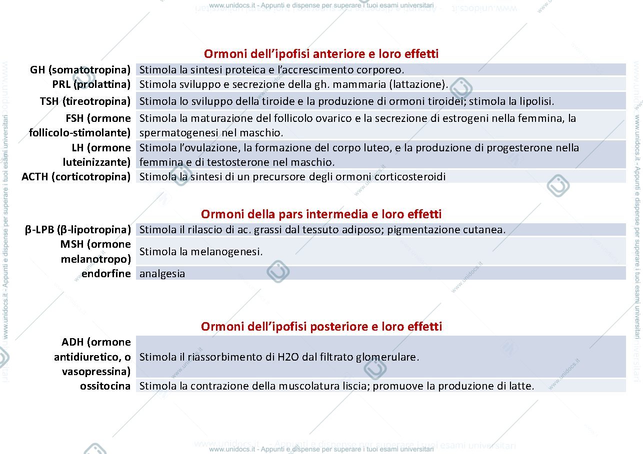 Anteprima pagina 4 — patologia sistema endocrino 