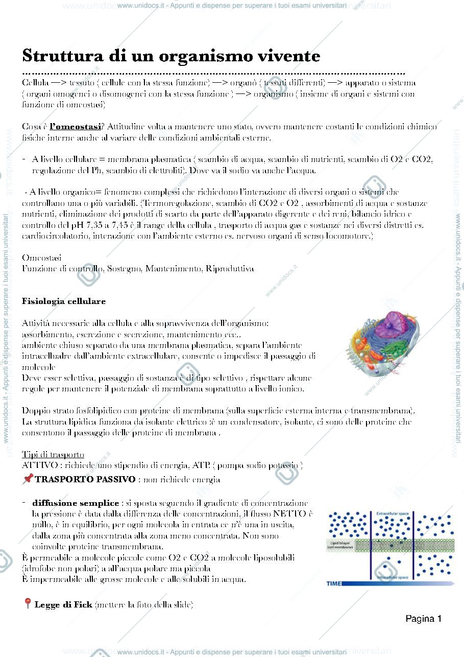 Anteprima pagina 2 — Dispensa di fisiologia