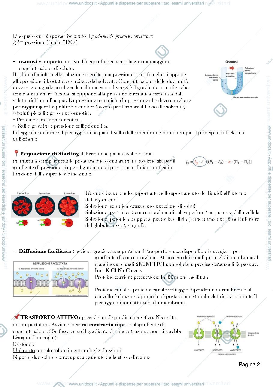 Anteprima pagina 3 — Dispensa di fisiologia