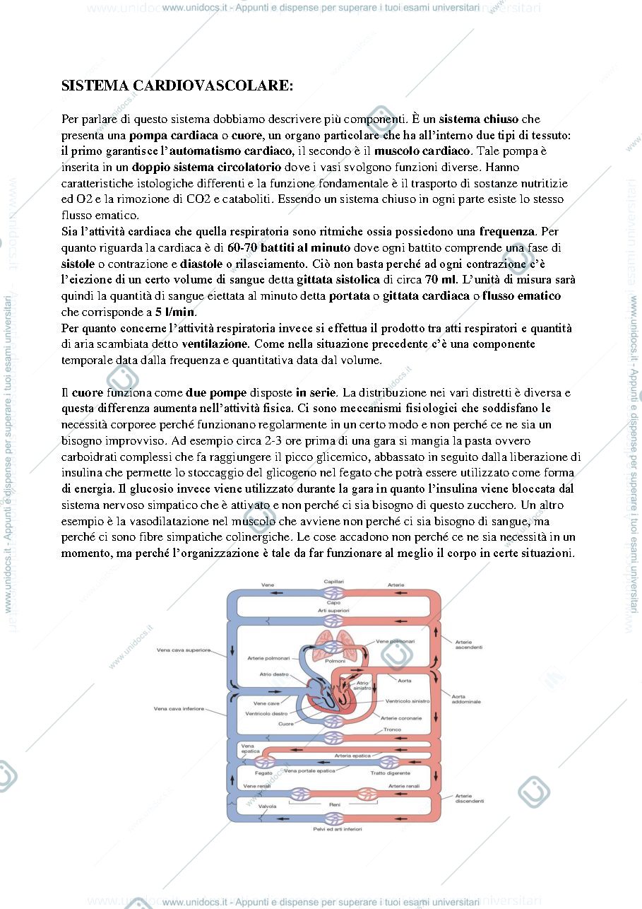 Anteprima pagina 1 — Fisiologia bong.