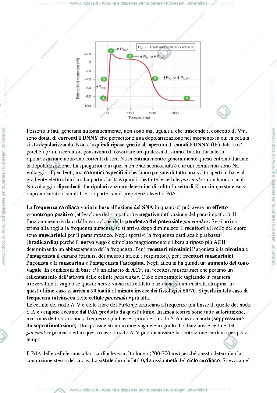 Anteprima pagina 3 — Fisiologia bong.