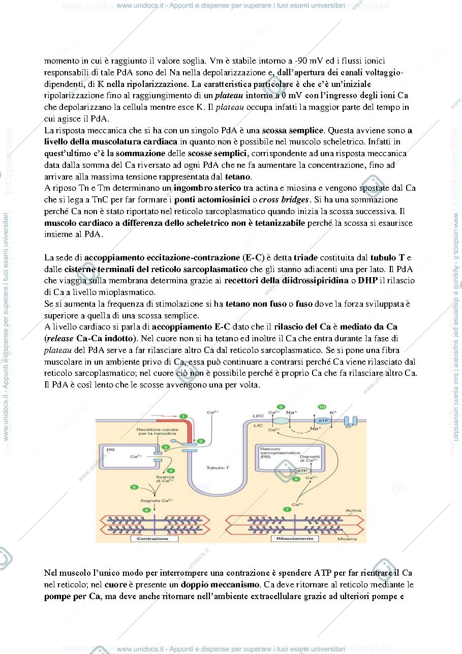 Anteprima pagina 4 — Fisiologia bong.