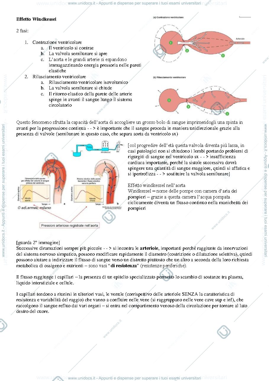 Anteprima pagina 2 — Fisiologia