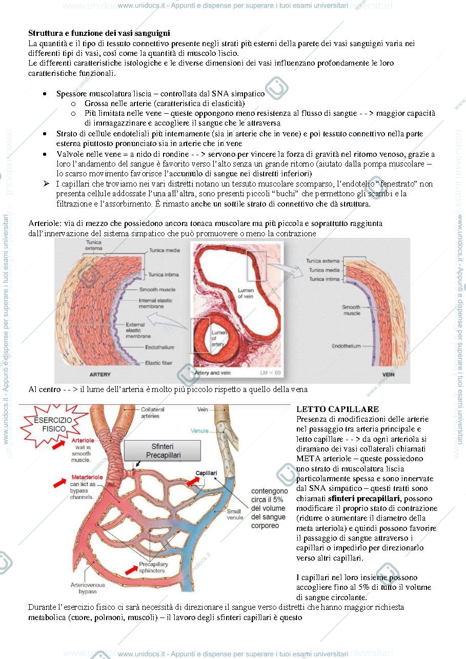 Anteprima pagina 3 — Fisiologia