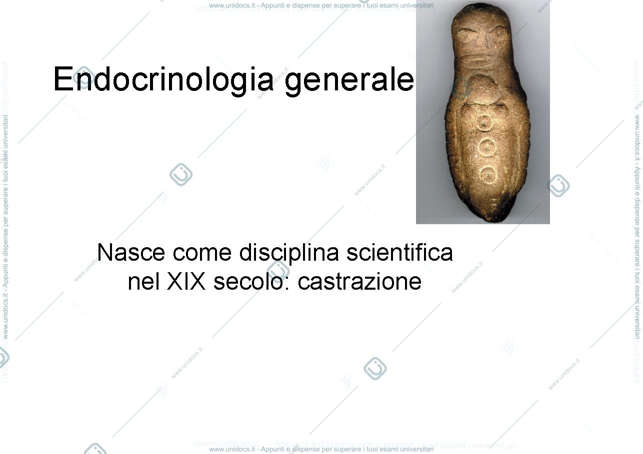 Anteprima pagina 2 — endocrinologia generale