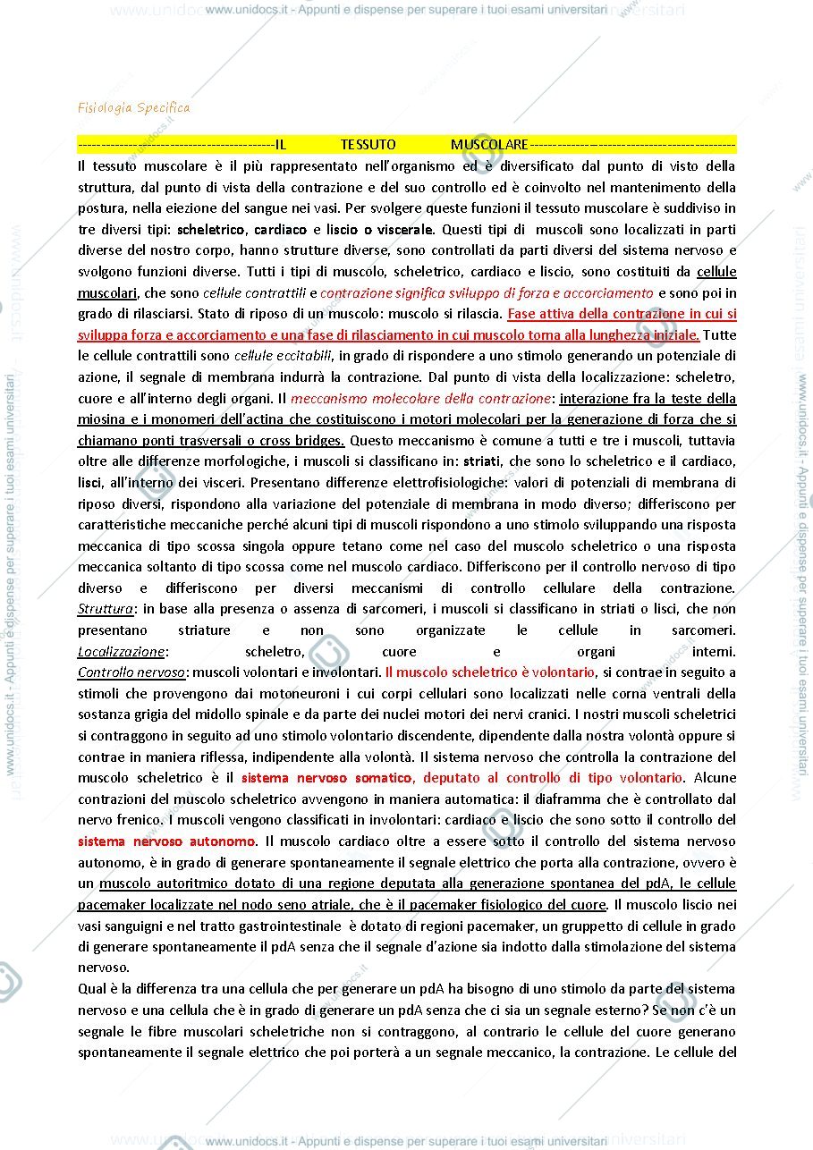 Anteprima pagina 1 — Potenziale d’azione fibra muscolare (fisiologia specifica)