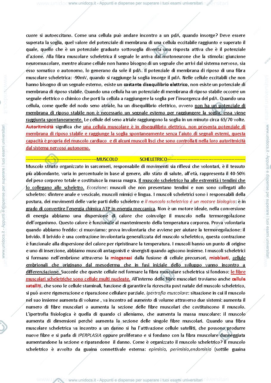 Anteprima pagina 2 — Potenziale d’azione fibra muscolare (fisiologia specifica)