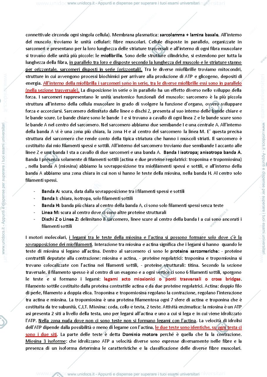 Anteprima pagina 3 — Potenziale d’azione fibra muscolare (fisiologia specifica)